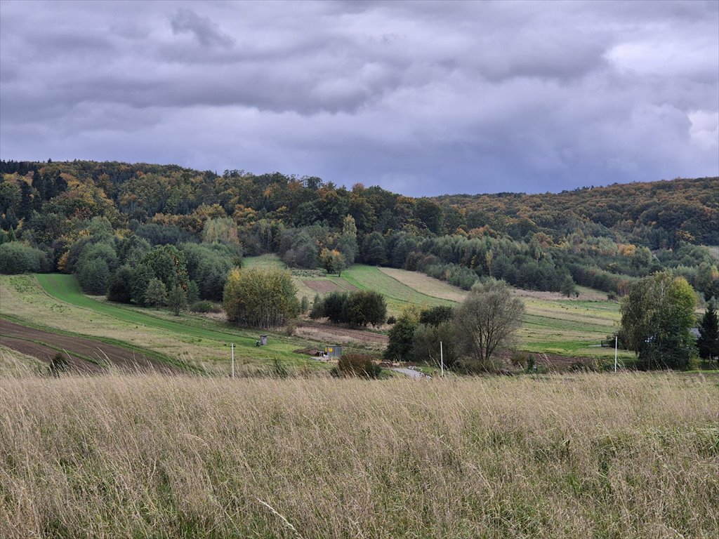 Działka rolna na sprzedaż Długie  1 910m2 Foto 4