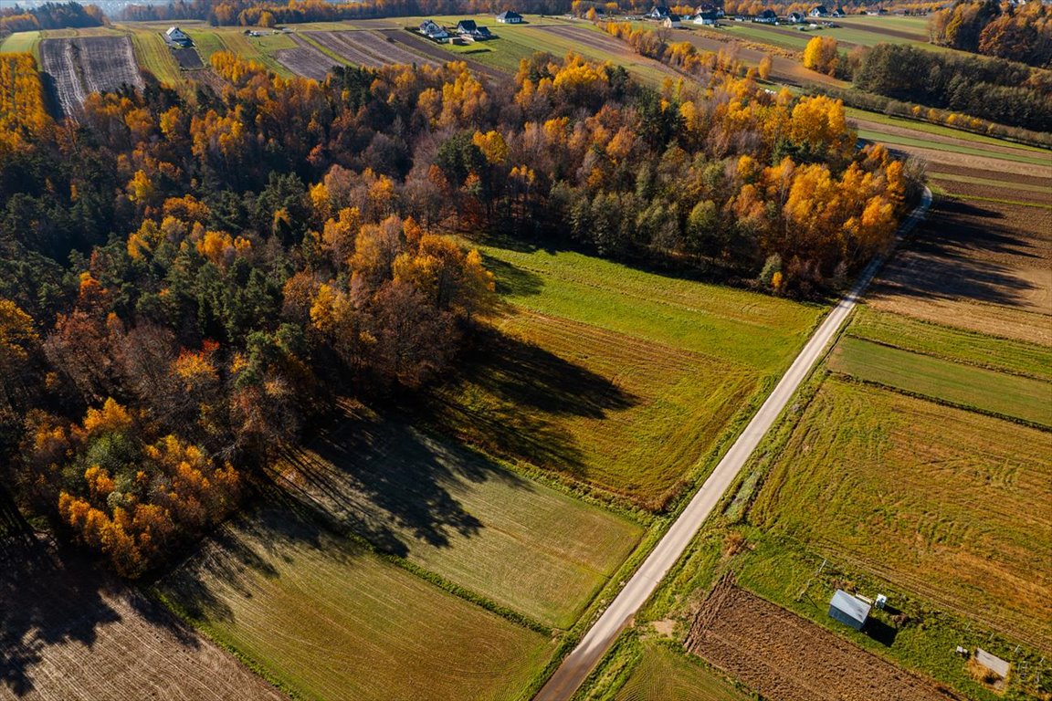 Działka 529 m² przy lesie – cisza, widoki, atrakcyjne ceny Brzesko, Zamieszkaj przy lesie – cisza, natura i widoki na wyciągnięcie ręki  529m2 Foto 1