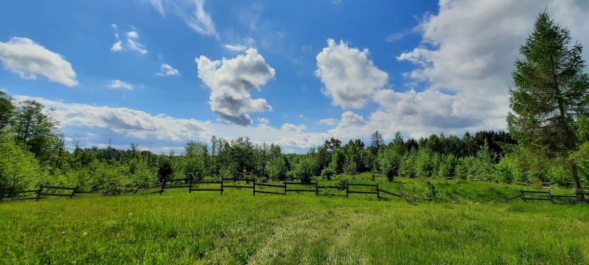 Działka gospodarstwo rolne na sprzedaż Płociczno  5 196m2 Foto 4