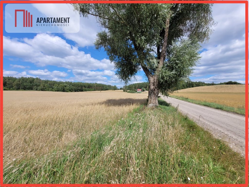 Działka gospodarstwo rolne na sprzedaż Skorzewo  3 000m2 Foto 6