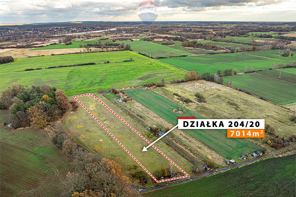 Działka rolna na sprzedaż Zielona Góra, Zawada  7 014m2 Foto 8