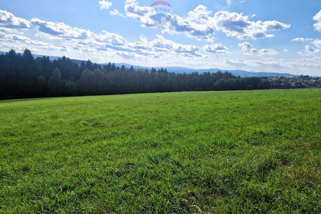 Działka budowlana na sprzedaż Mszalnica  6 700m2 Foto 10