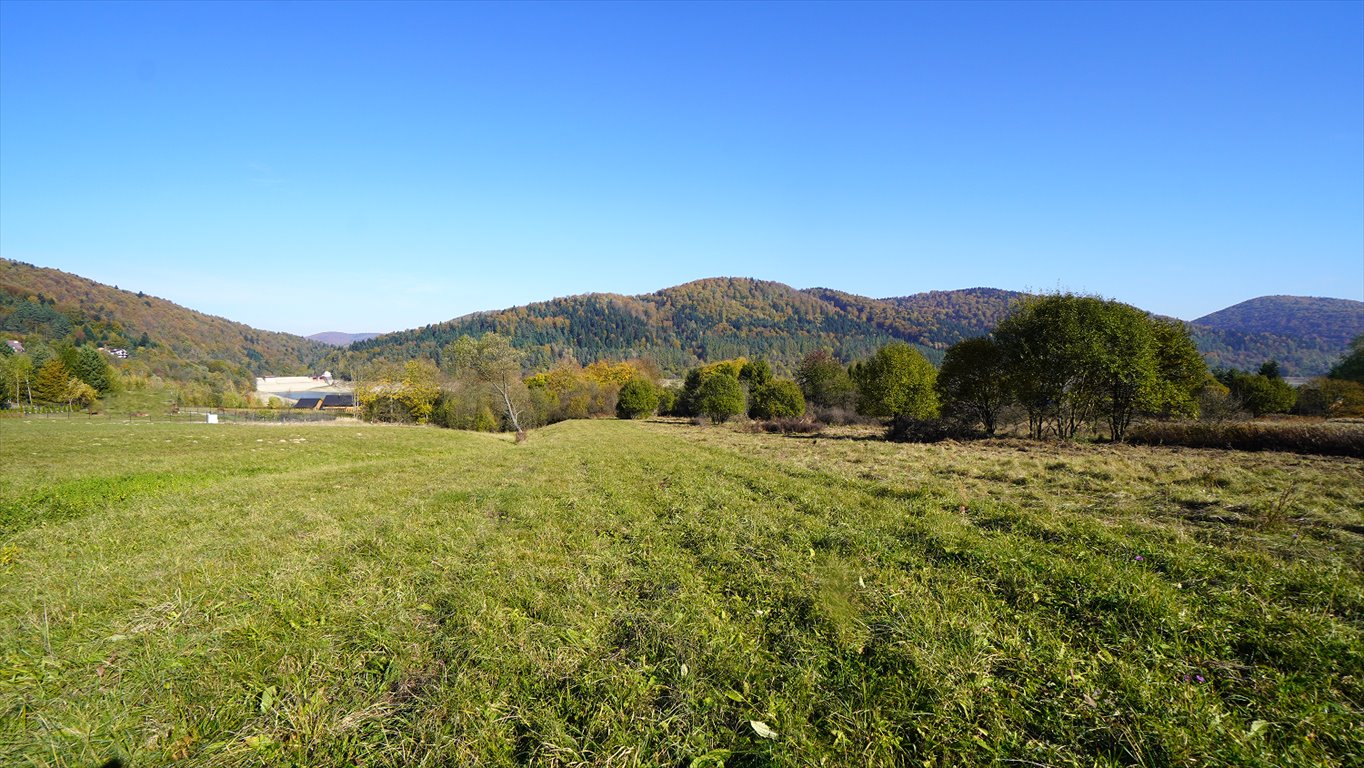 Działka budowlana na sprzedaż Klimkówka  11 300m2 Foto 3