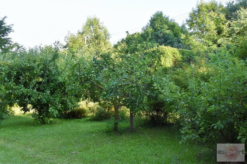 Lokal użytkowy na sprzedaż Dręstwo  250m2 Foto 15