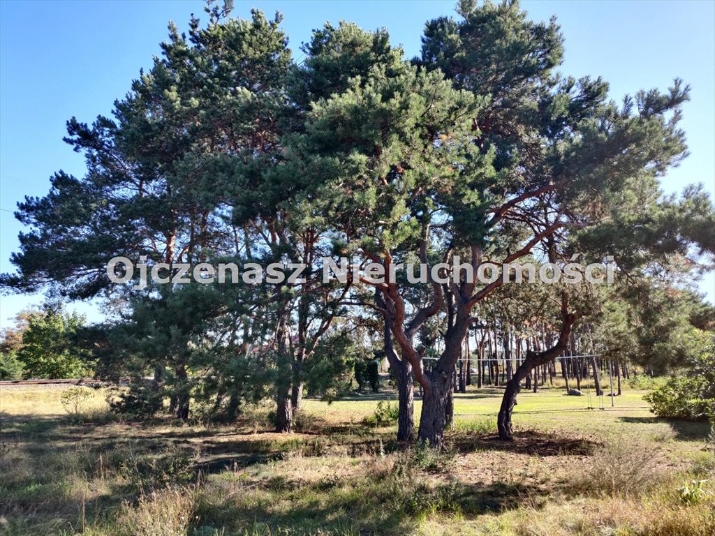 Działka 5 280 m² w Zamościu - las, bez MPZP. Zamość  5 280m2 Foto 1
