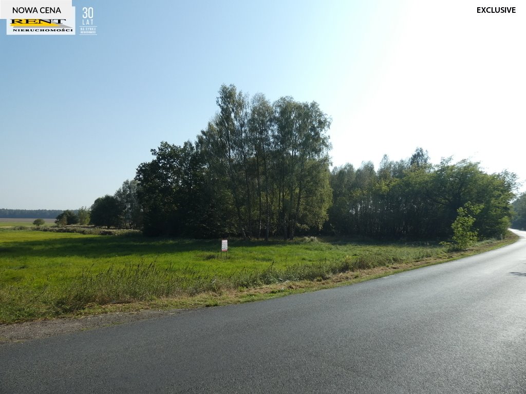 Działka inwestycyjna na sprzedaż Tarnówko  9 597m2 Foto 1