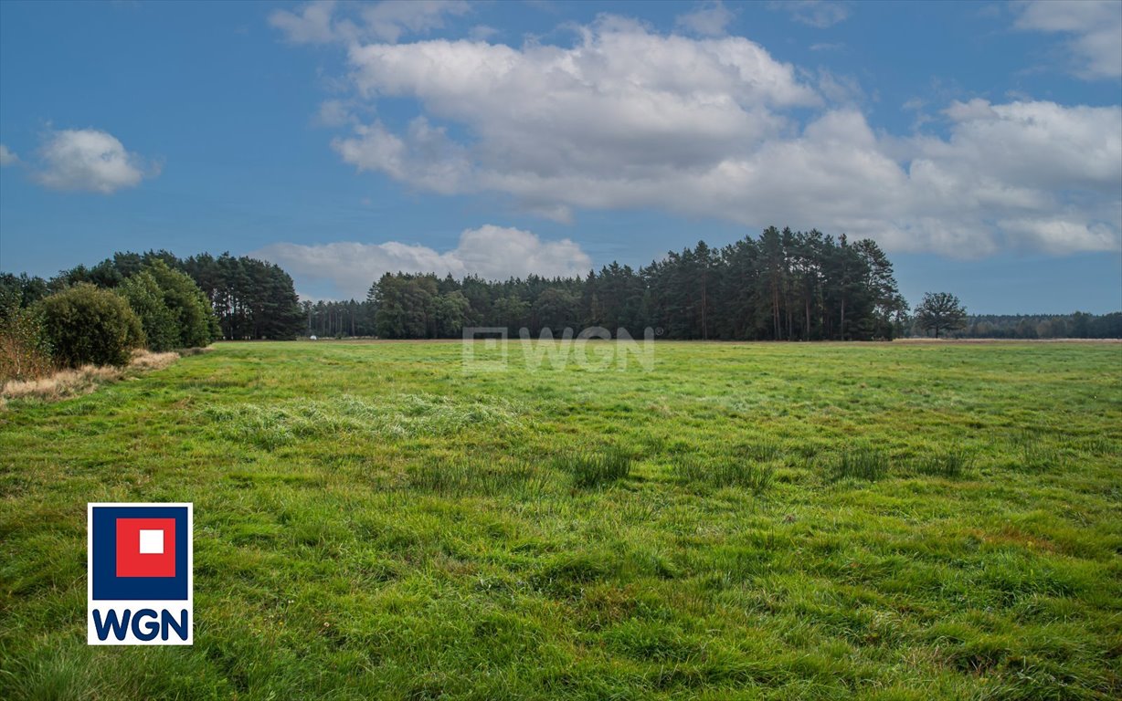 Działka rolna na sprzedaż Ołobok, centrum  91 500m2 Foto 1