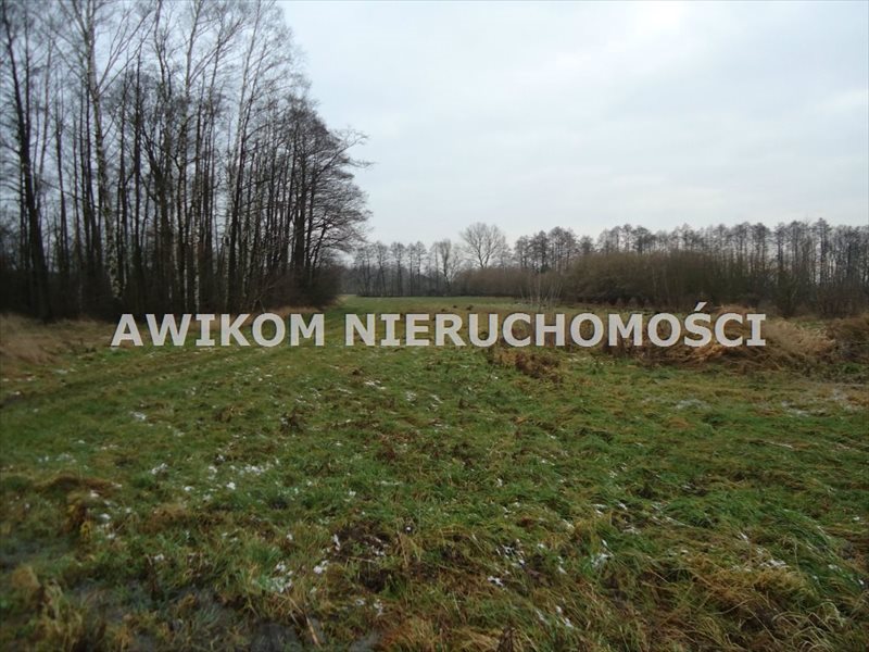 Polecam dużą działkę 5900 m² pod inwestycję z warunkami zabudowy Stanisławów  5 900m2 Foto 1