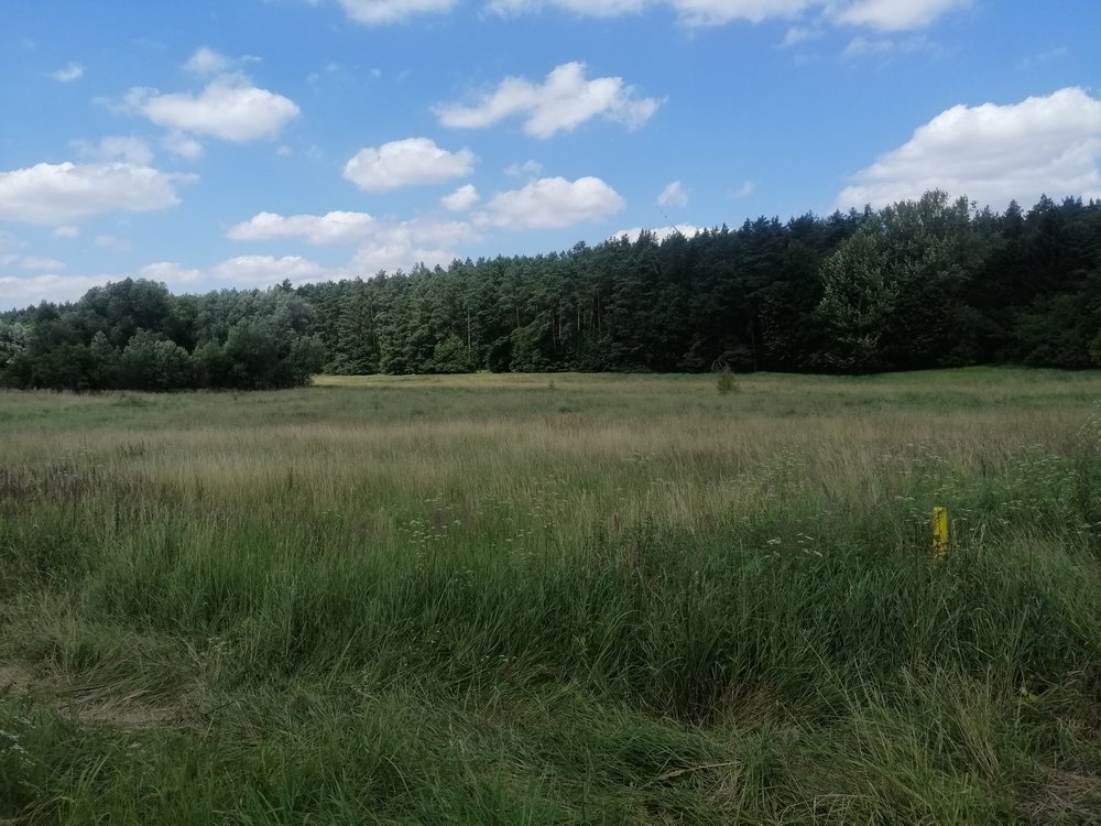 Działka budowlana na sprzedaż Krzęcin  13 200m2 Foto 2