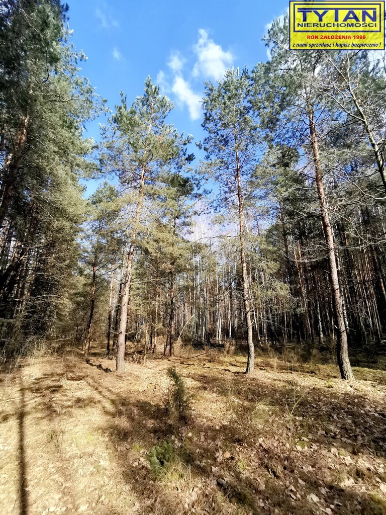 Działka leśna na sprzedaż Olszewo  3 500m2 Foto 1