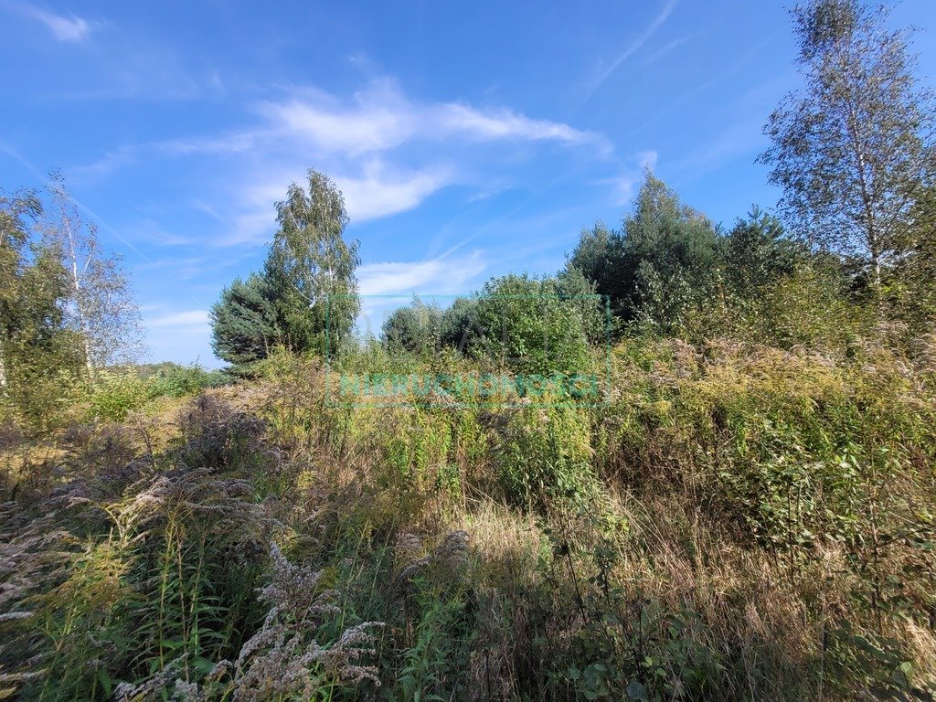 Działka budowlana na sprzedaż Musuły  1 500m2 Foto 8