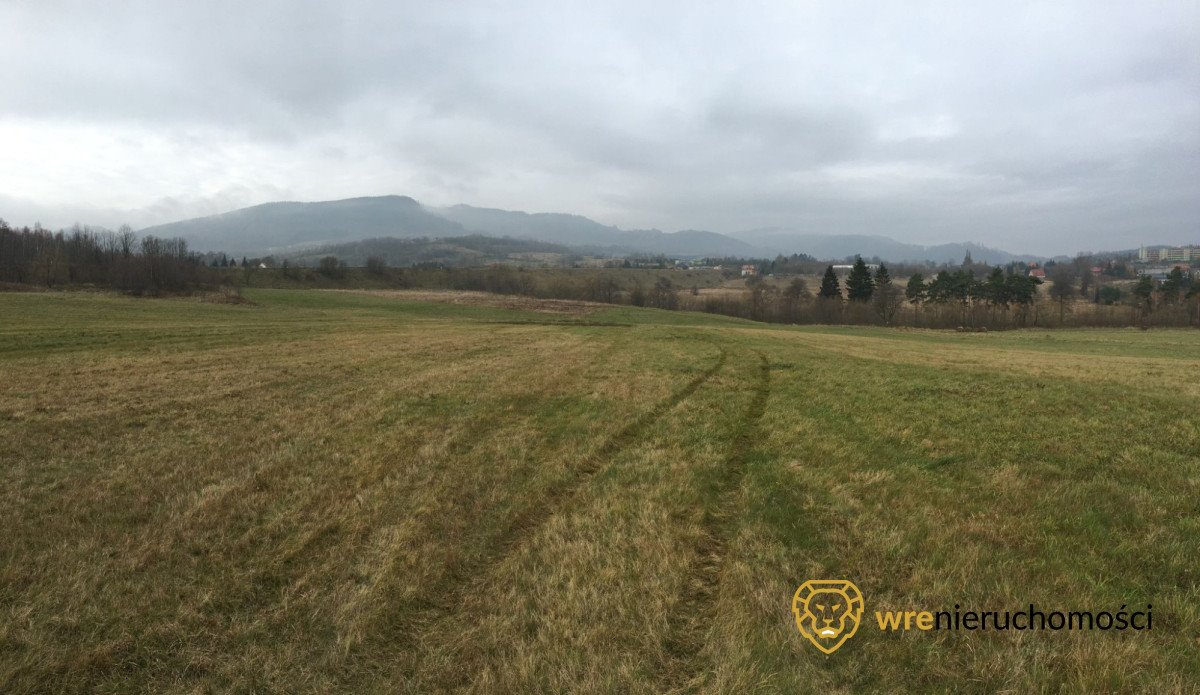 Działka inwestycyjna na sprzedaż Głuszyca  25 000m2 Foto 8