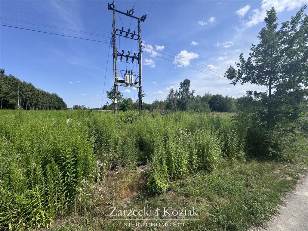 Działka budowlana na sprzedaż Cholewy  1 499m2 Foto 9