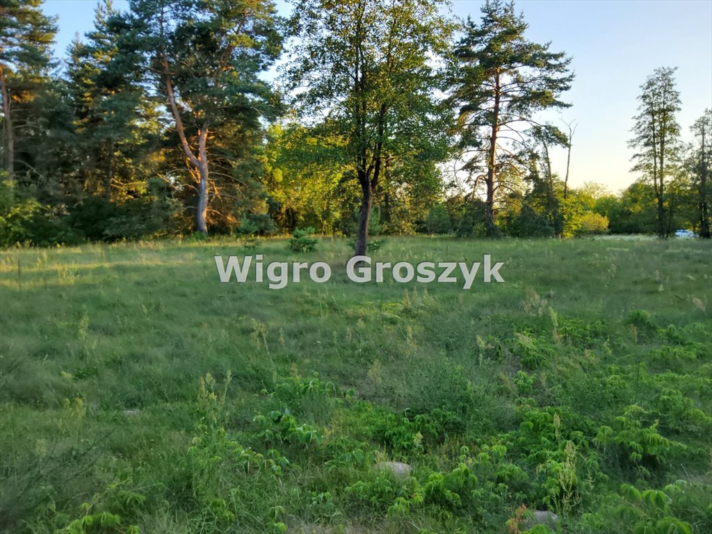 Działka budowlana na sprzedaż Pogorzelec  4 300m2 Foto 3