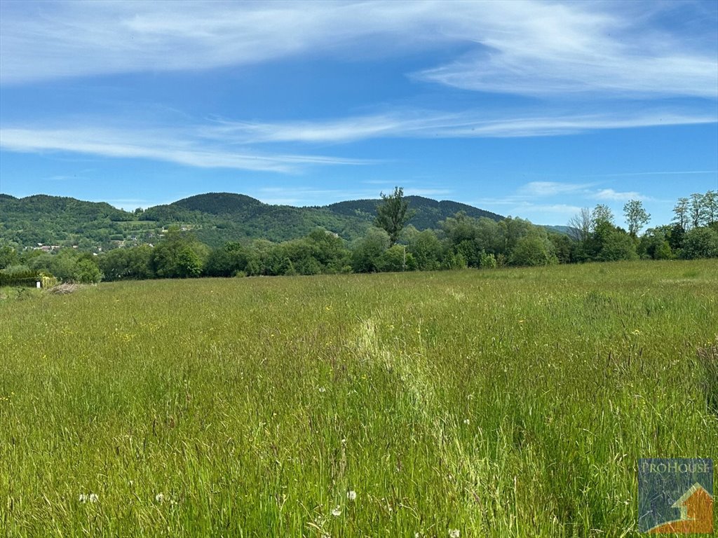 Działka budowlana na sprzedaż Podłopień  1 600m2 Foto 12