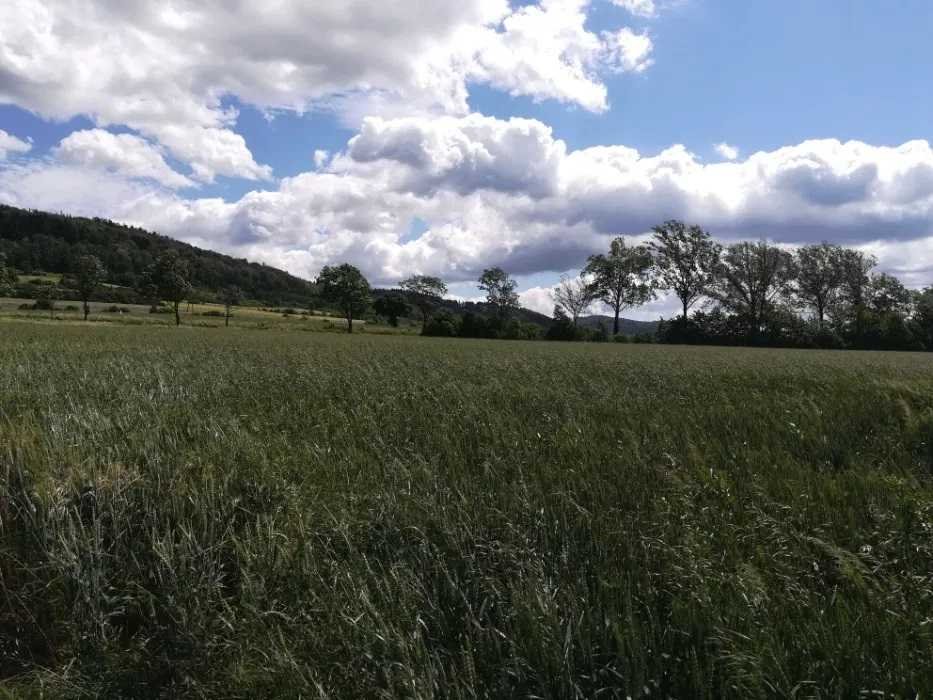 Działka inna na sprzedaż Bystrzyca Kłodzka, Marianówka  1 000m2 Foto 1