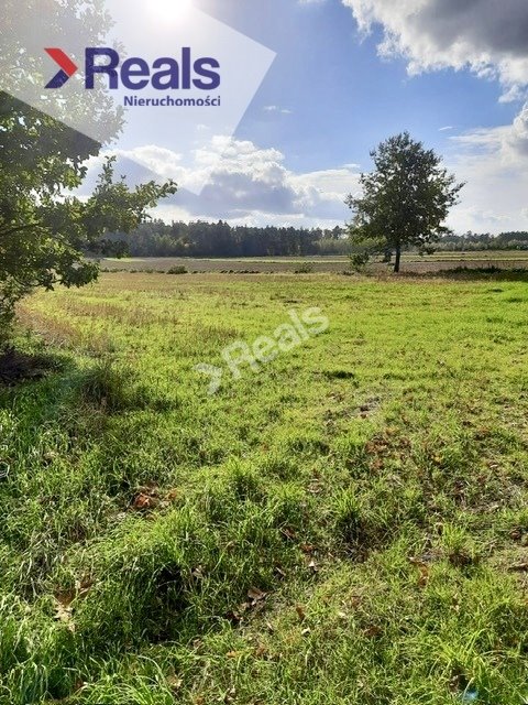 Działka siedliskowa na sprzedaż Złotopolice  3 000m2 Foto 1