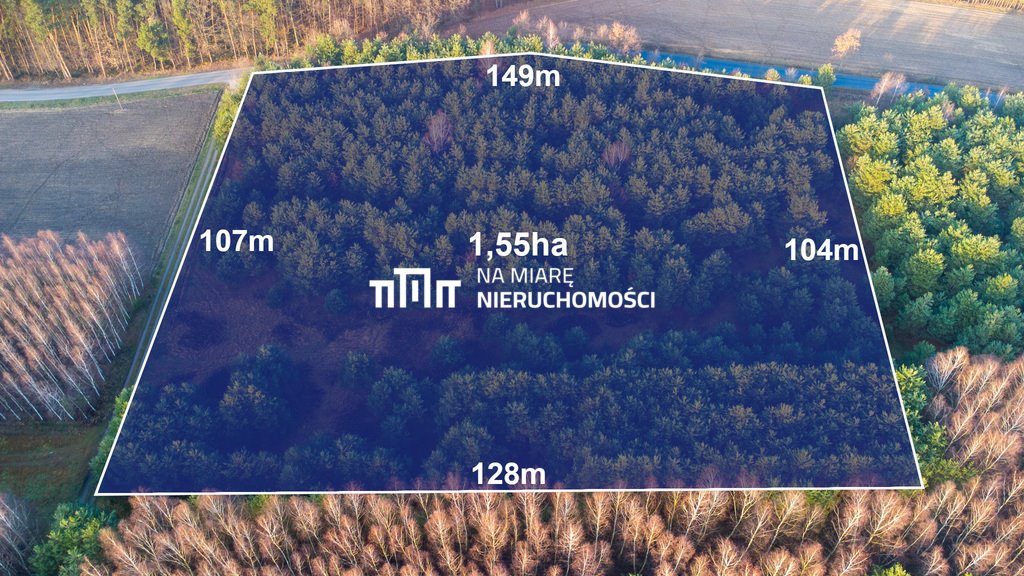 Działka 1,55 ha z potencjałem pod zabudowę i biznes Wólka Pełkińska  15 572m2 Foto 1
