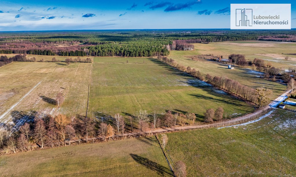 Działka budowlana na sprzedaż Wyżegi  1 794m2 Foto 8