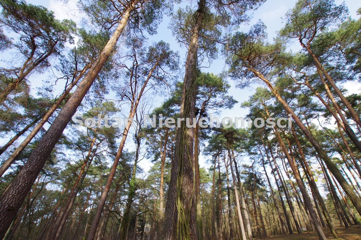 Działka budowlana na sprzedaż Konstancin-Jeziorna, Królewska Góra  3 025m2 Foto 5