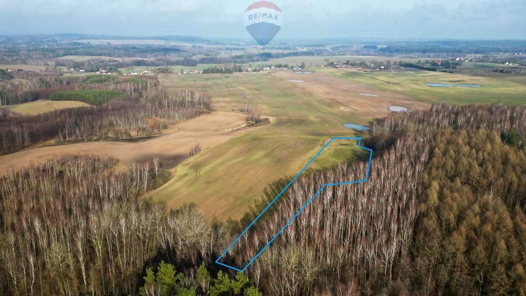 Działka budowlana na sprzedaż Ełganowo  6 500m2 Foto 4