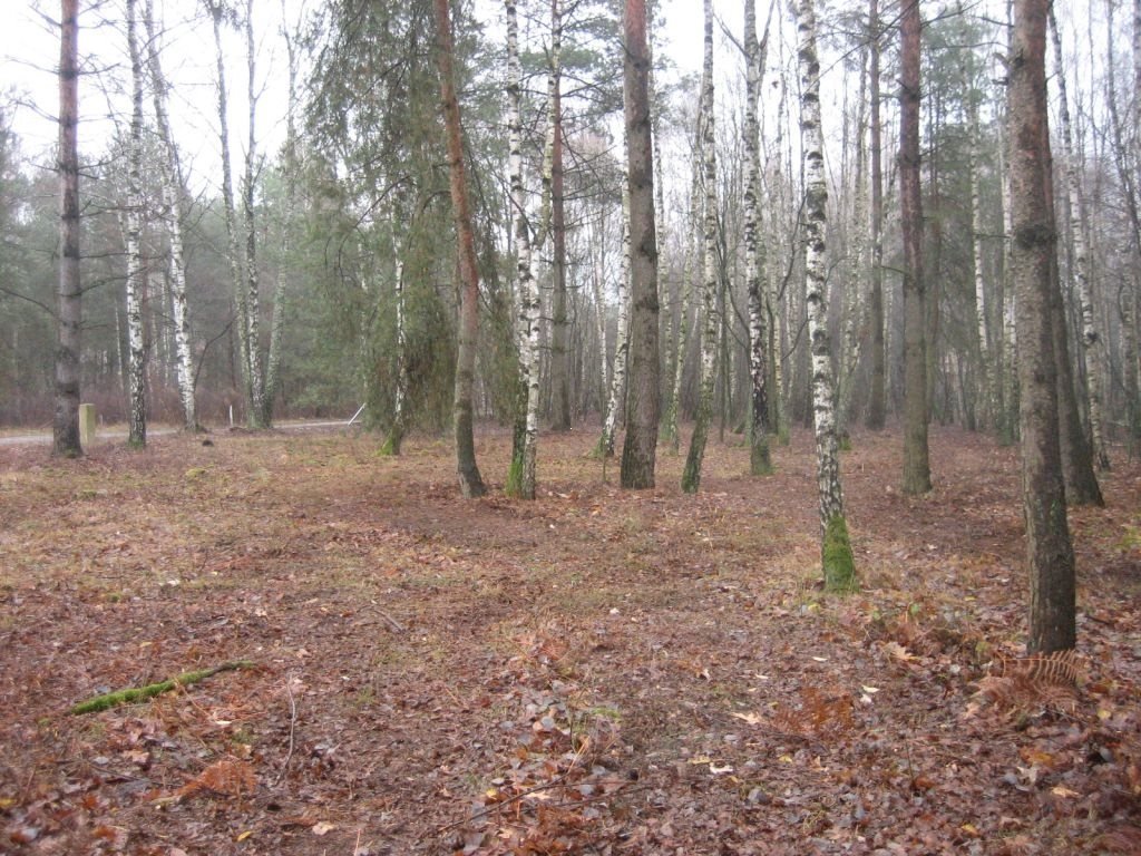 Działka budowlana na sprzedaż Aleksandrów Łódzki, obok Rezerwatu Przyrody  1 688m2 Foto 6