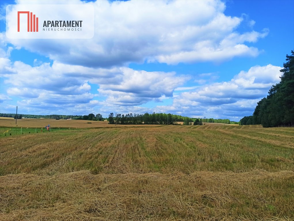 Działka budowlana na sprzedaż Miedzno  3 000m2 Foto 3