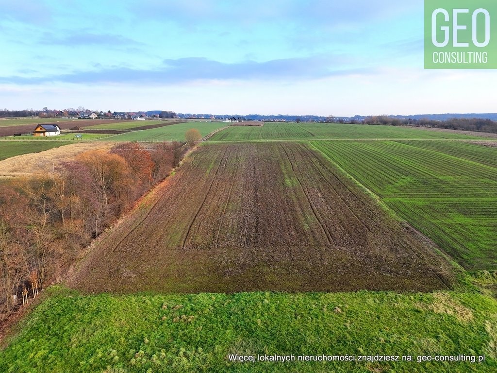 Działka siedliskowa na sprzedaż Brzezie, Działka zagrodowa Brzezie pod Krakowem  3 000m2 Foto 16
