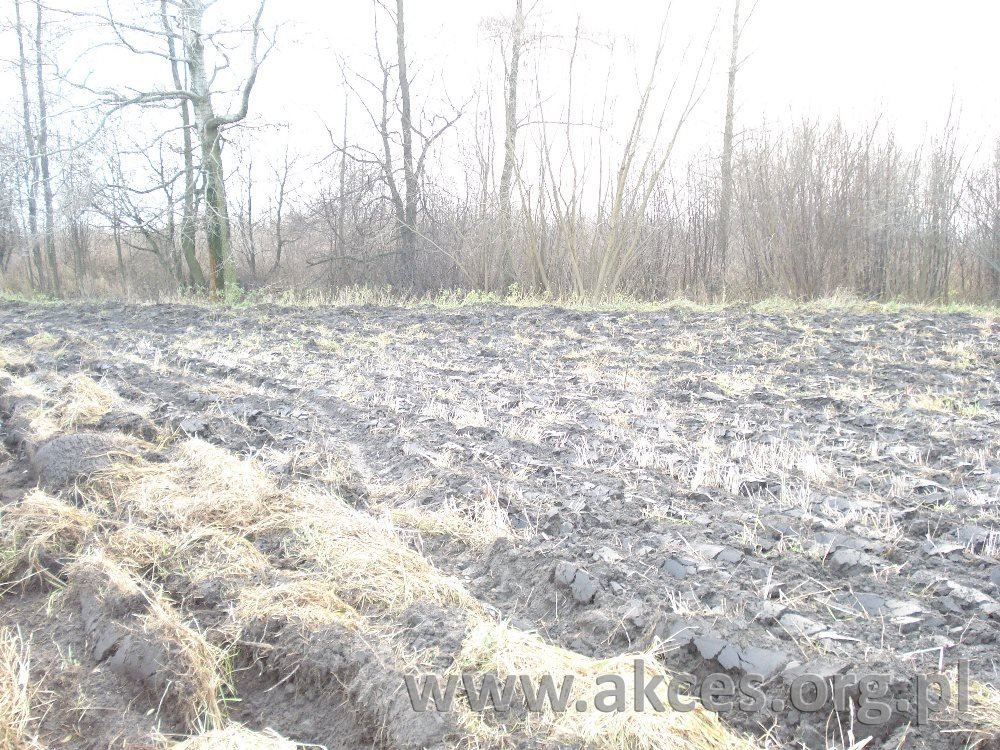 Działka siedliskowa na sprzedaż Grodzisk Mazowiecki, Grodzisk Mazowiecki  49 800m2 Foto 1