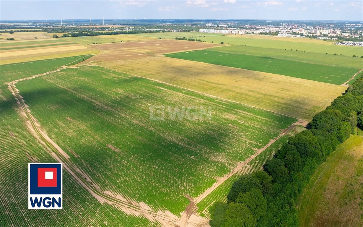 Działka budowlana na sprzedaż Słupsk, Stanisława Szpilewskiego  3 009m2 Foto 9