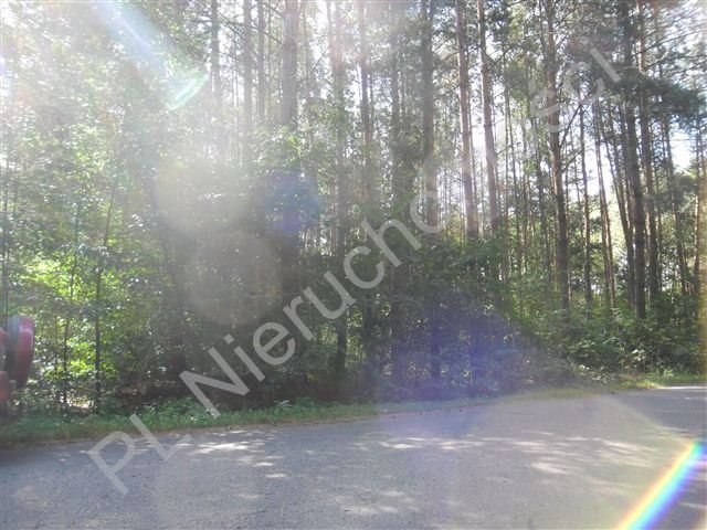 Działka leśna na sprzedaż Kałuszyn  21 100m2 Foto 4