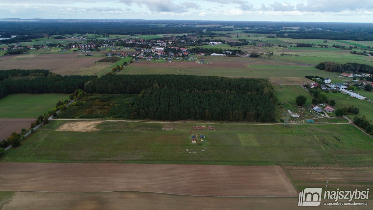 Działka rolna na sprzedaż Sosnowice, Wieś  1 000m2 Foto 6