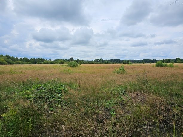 Działka rolna na sprzedaż Gać  2 500m2 Foto 1