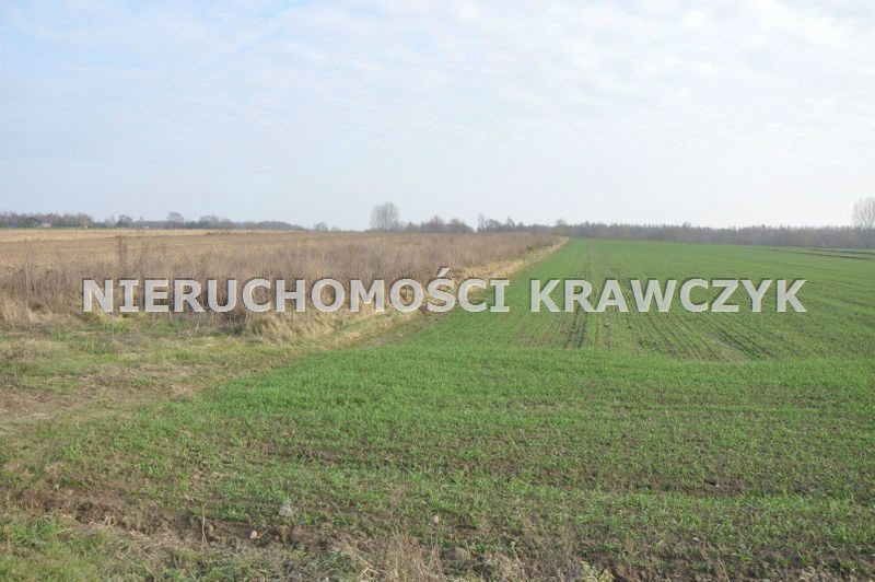 Działka rolna pod dzierżawę Mikołajewice, - 14 000m2 Foto 1 Działka rolna pod dzierżawę Mikołajewice, - 14 000m2 Foto 1