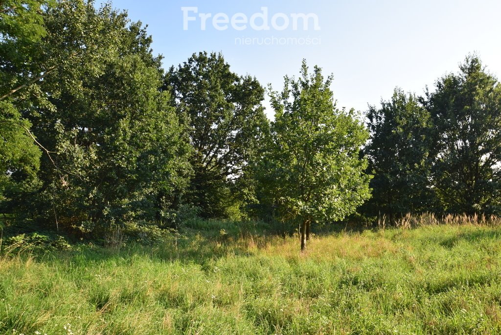 Działka budowlana na sprzedaż Niemodlin  1 700m2 Foto 2