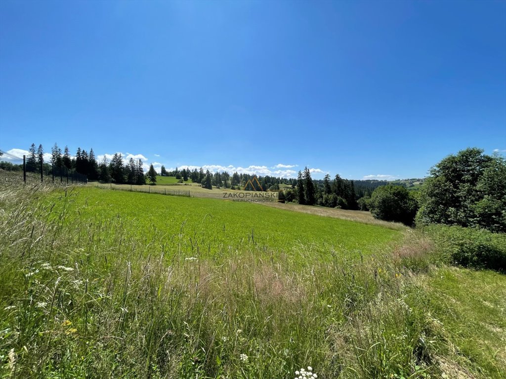 Działka inna na sprzedaż Biały Dunajec  3 000m2 Foto 3