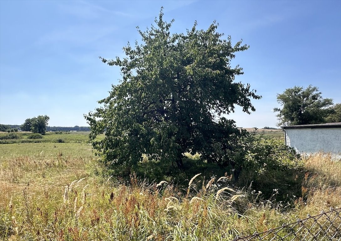 Dom na sprzedaż Niemcy, Meklemburgia pomorze przednie, Bismark, Am Sportplatz 3  170m2 Foto 13