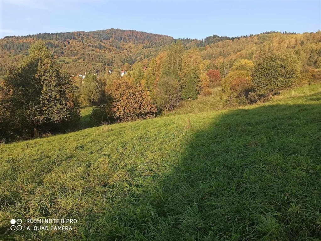 Działka rolna na sprzedaż Rajcza  3 237m2 Foto 15