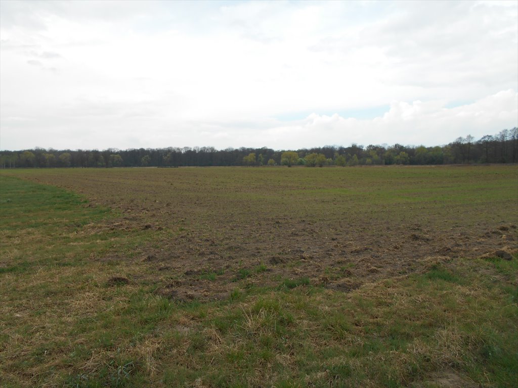 Działka usługowa 6 ha z możliwością zabudowy - Chrząstawa Chrząstawa Wielka  60 000m2 Foto 1