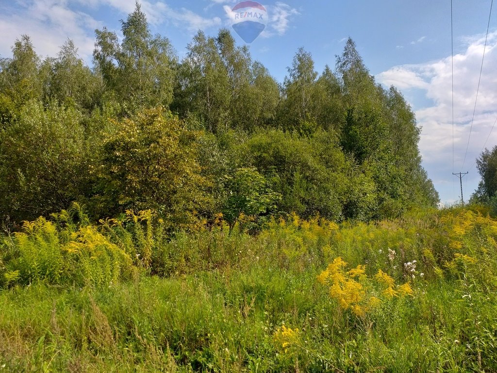 Działka rekreacyjna na sprzedaż Lembruk  12 482m2 Foto 7