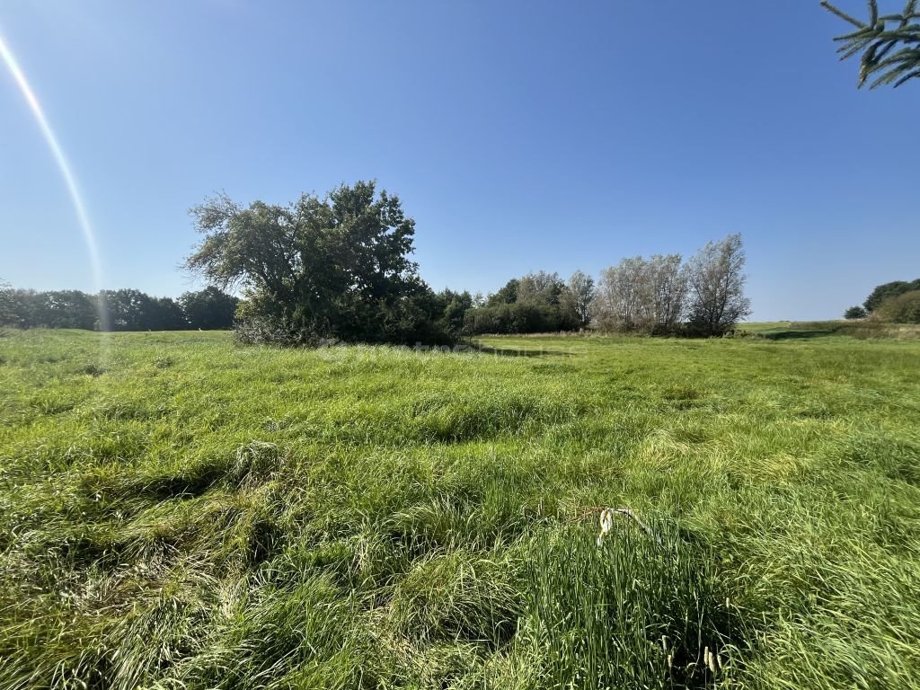 Działka budowlana na sprzedaż Włodarka  1 016m2 Foto 8