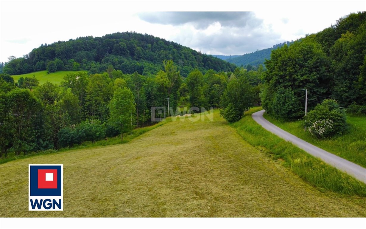 Polecam widokową działkę 3545 m² z mediami i strumykiem Ustroń, Brody  3 545m2 Foto 1