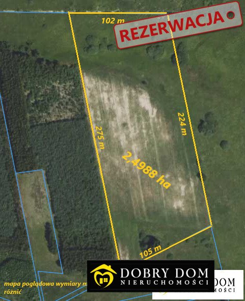 Działka 24 988 m² z uprawami i niską ceną Nurzec-Stacja  24 988m2 Foto 1