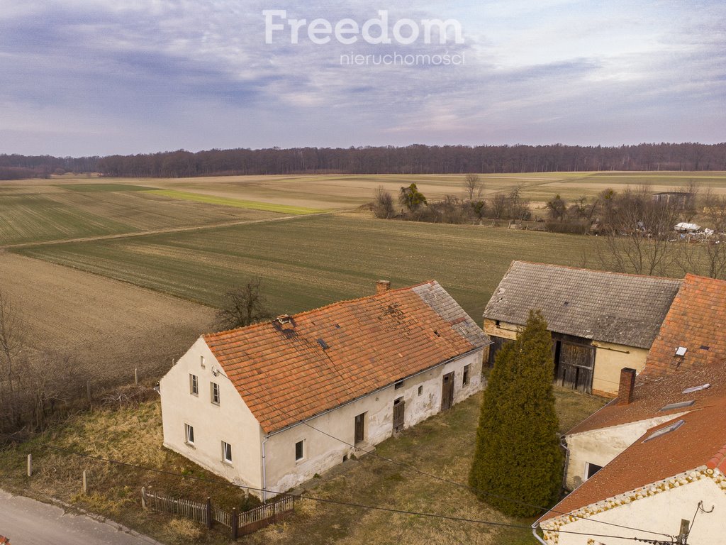 Działka rolna na sprzedaż Grabina  1 337m2 Foto 1