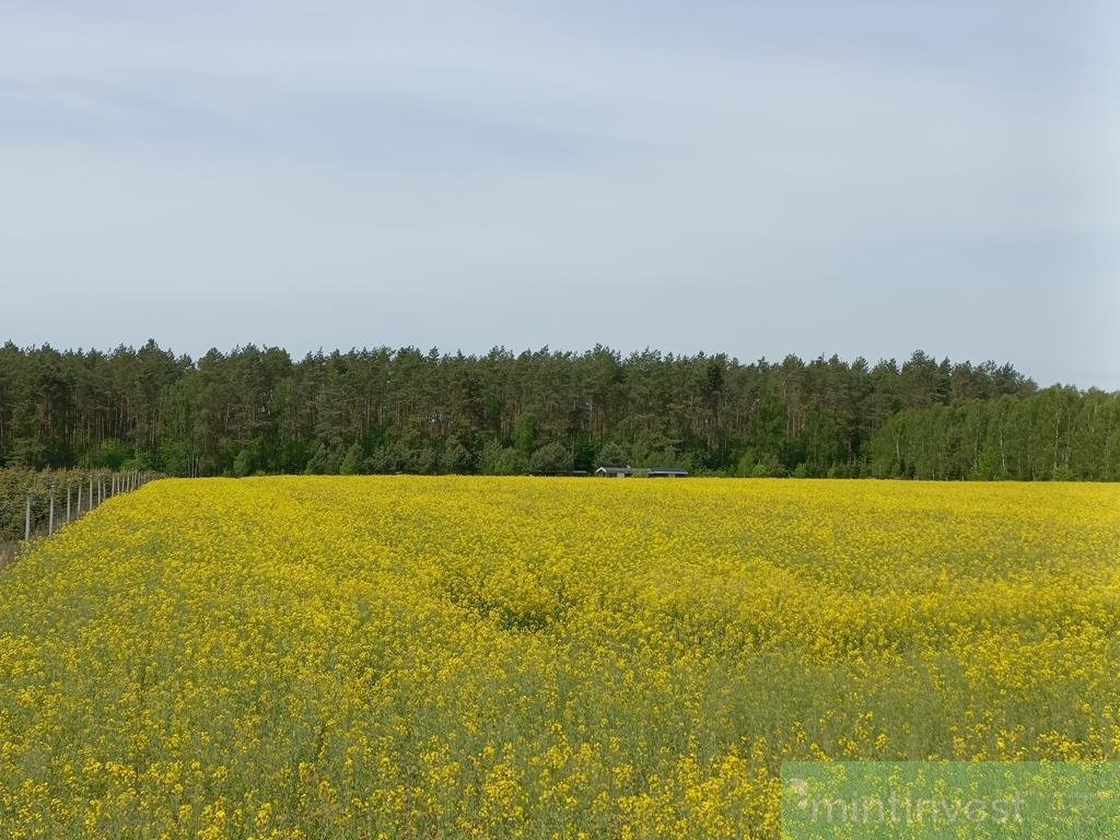 Działka rolna na sprzedaż Stawno  1 304m2 Foto 5