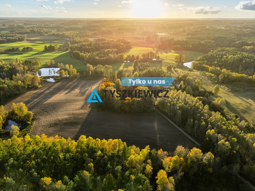 Działka rolna na sprzedaż Grądzień  12 000m2 Foto 1