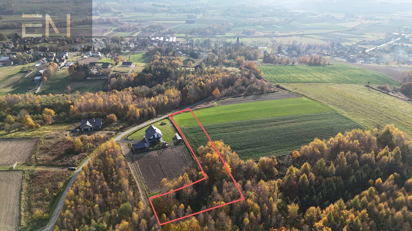 Działka rolna na sprzedaż Dobrzechów  3 900m2 Foto 4