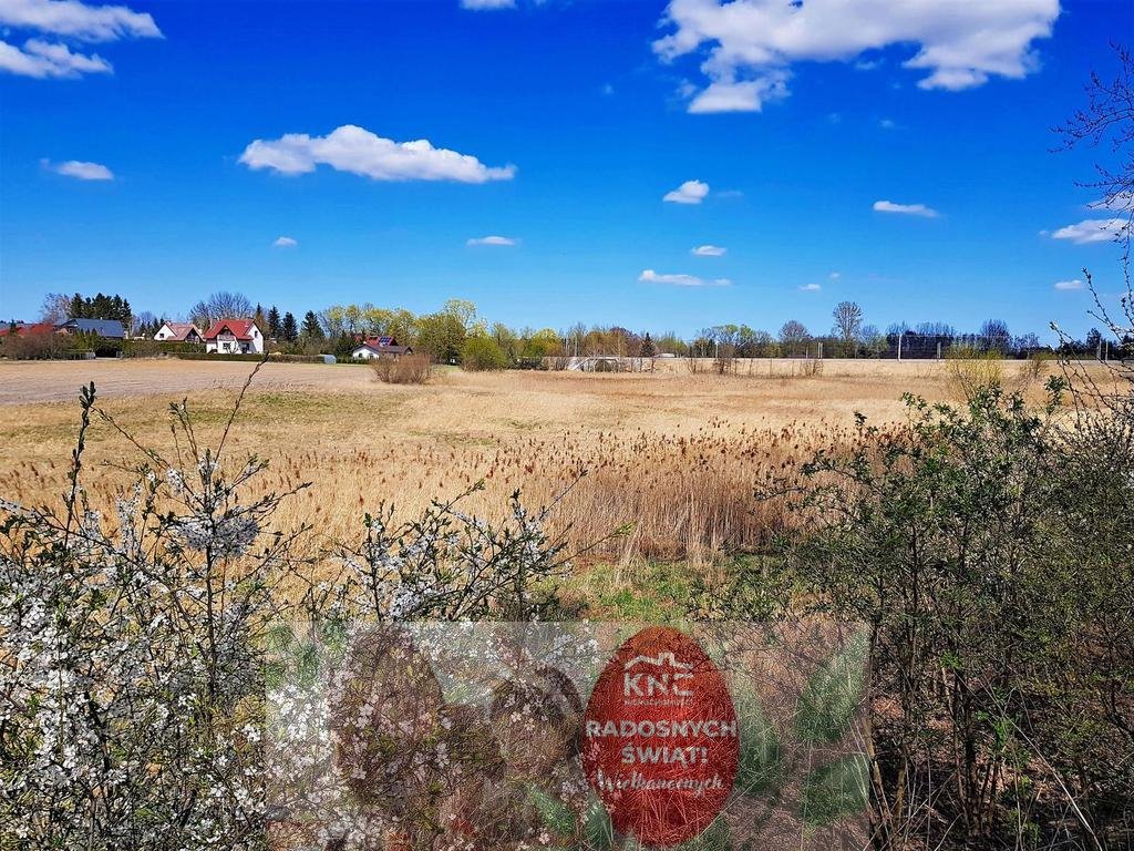 Działka 50 ar pod dom z warunkami zabudowy, Miłocin Miłocin  5 000m2 Foto 1