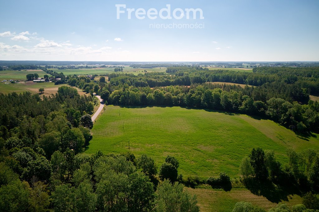 Działka inna na sprzedaż Krzywe  3 003m2 Foto 4