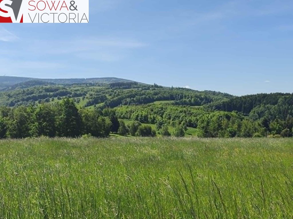 Sprzedam działkę 3000 m² z panoramicznymi widokami na Sowę Michałkowa  3 000m2 Foto 1